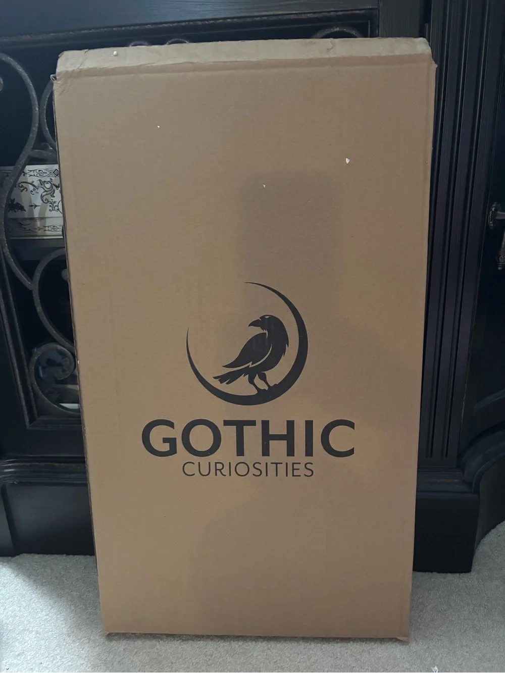Gothic Curiosities Large Coffin Mirror - 21 Inch x11.5” Gothic Decor